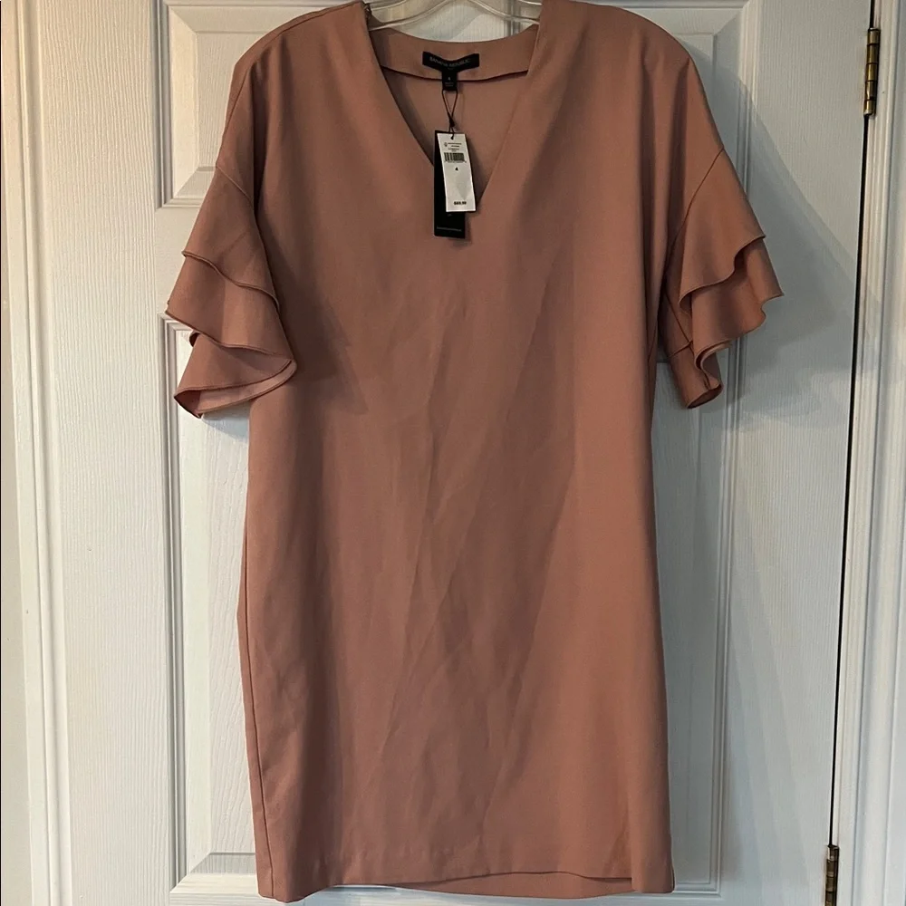 NWT Banana Republic Blush Ruffle Sleeve Mini Dress - Picture 1 of 3